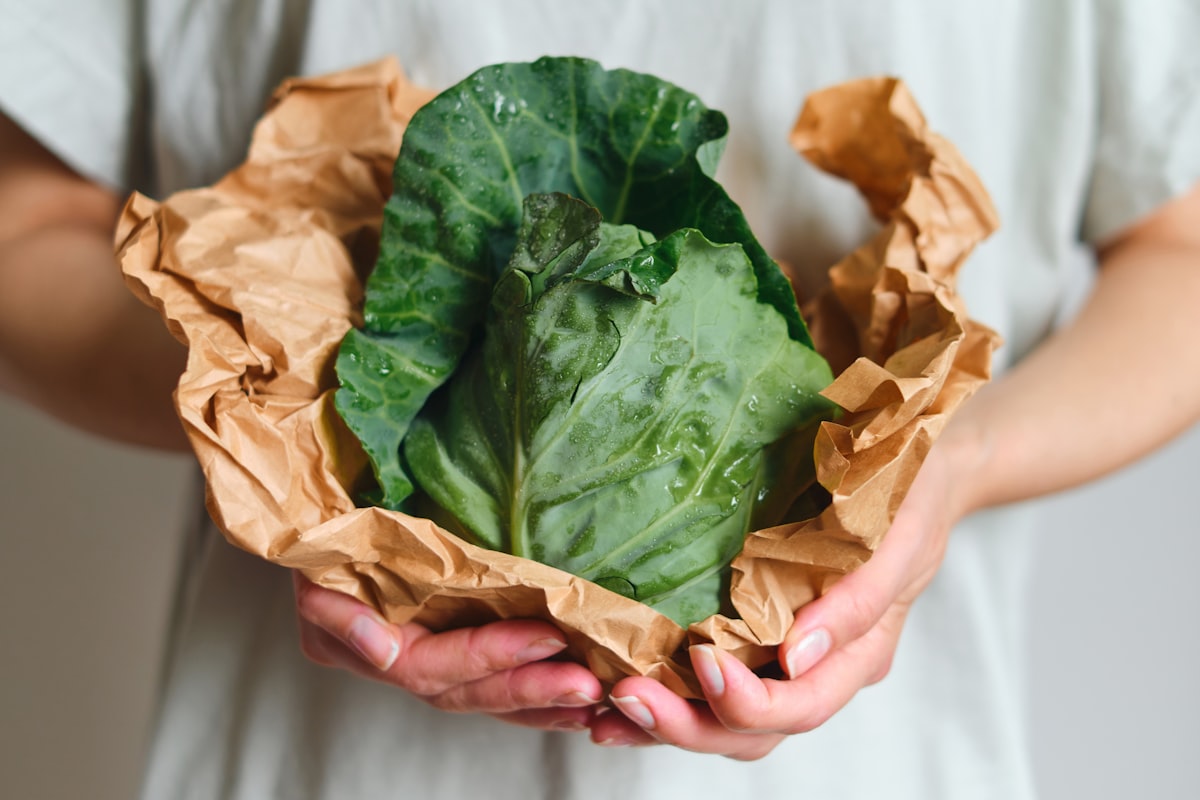 Fresh vegetables and ingredients for healthy cooking